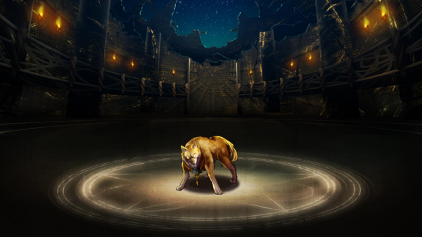 Pet112