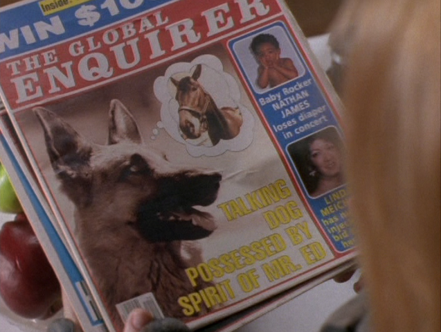 File:The-Global-Enquirer.png