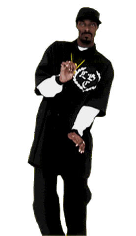 File:Snoop dawggggg.gif