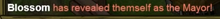 Mayor reveal