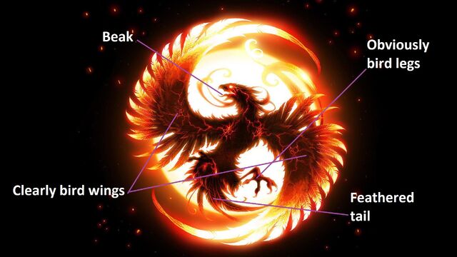 File:It's a phoenix not a dragon.jpg