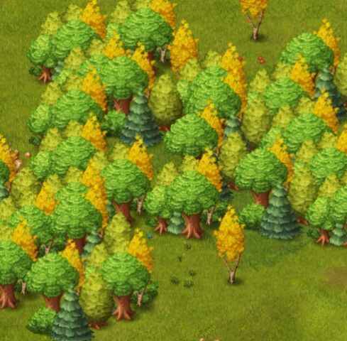 Fichier:Forêt.jpg