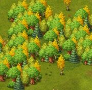 Forêts.jpg