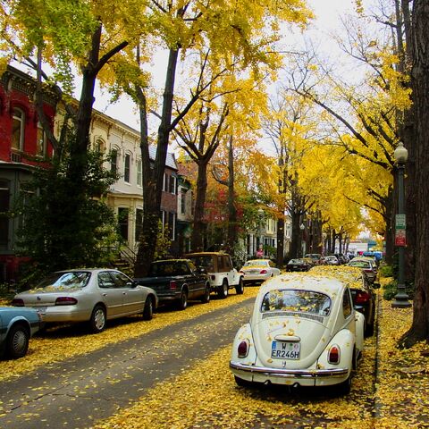 File:Autumn in DC-8370.jpg