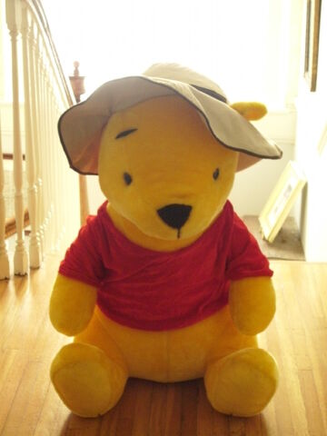File:Knockoff Pooh Bear.jpg