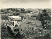 Scan0006