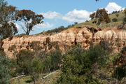 Oriental Claim, Oriental Claims 2, Omeo,Vic, 21.10.2010