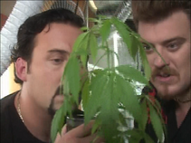2x04-dope-0