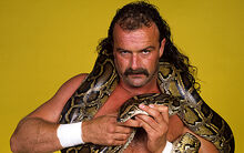Jake-the-snake-roberts
