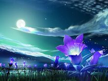 4236258-images-of-flowers