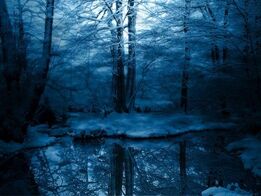 Snowy-Forest-Wallpaper 620
