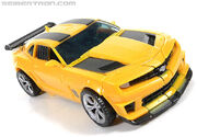 R bumblebee-032