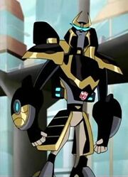 Samprowl.jpg