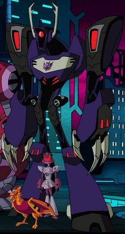 File:Purple shock.jpg