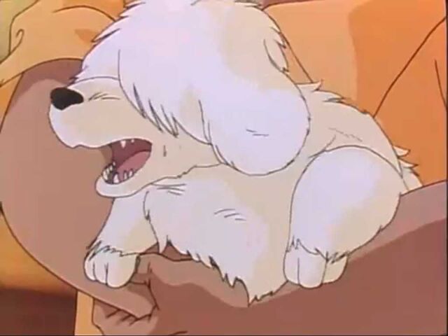 File:Mf-pis-anime5-1.jpg