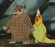 Parrot and armadillo