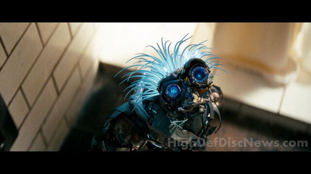 File:Dotm-brains-film-1.jpg