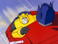 Primebumblebeehug