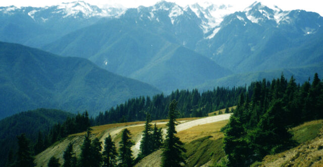 File:Hurricane Ridge.jpg