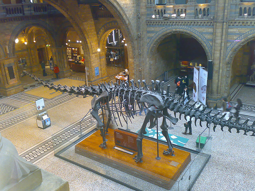 File:312414545 8f4dcc85d1.jpg