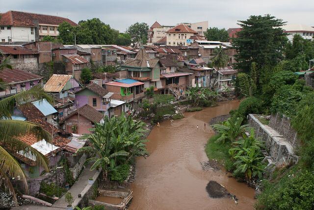 File:Dsc0175.jpeg