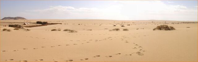 File:800px-Desert siwa.jpg