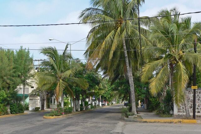 File:800px-Mazatlan quiet street.jpg