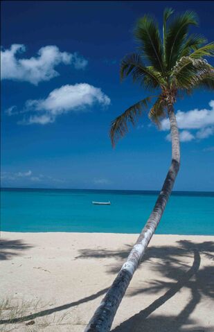File:BeachLowRes.jpg