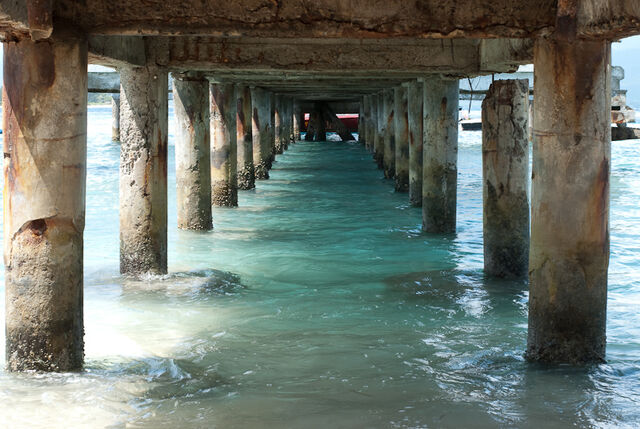 File:Dsc2222.jpeg