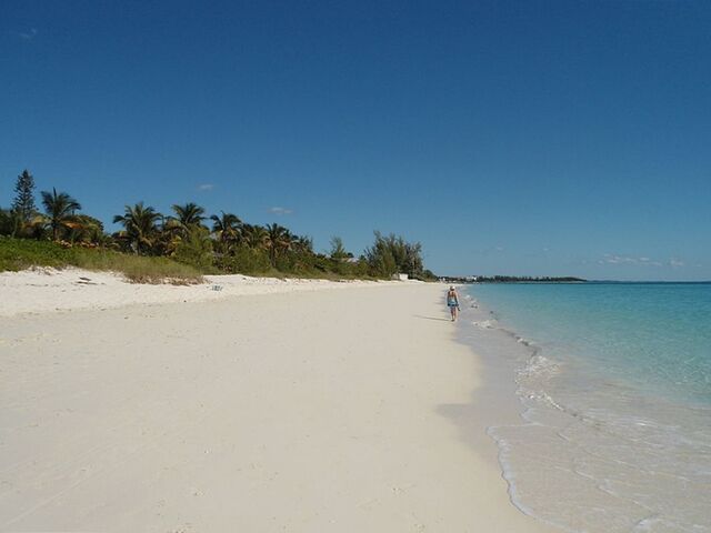 File:6dfd27a0-1acb-4e33-829f-79a11179885a.jpg
