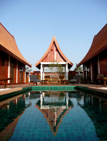 File:1 A photo of Green Gecko Thailand.jpg
