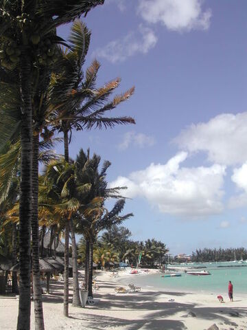 File:450px-Maurice-plage.jpg