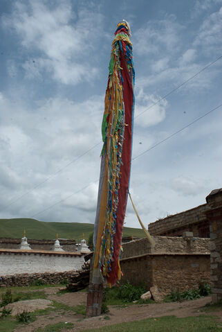 File:Dsc7685.jpeg