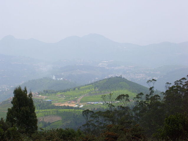 File:797px-Doddabetta.jpg