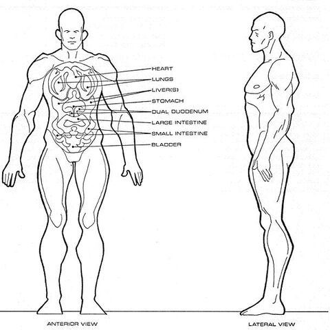 File:Klinzai physiology.jpg