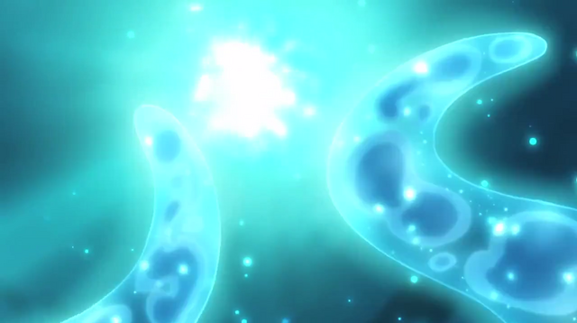 File:Hotaru.png