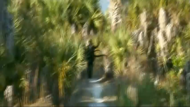 File:SM NTV 01.png