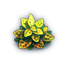 Bush