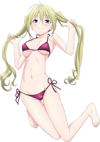 File:Lieselotte swimsuit vol6 AN.png