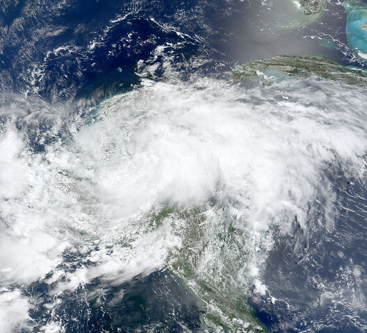 File:800px-Arthur 31 May 2008.jpg