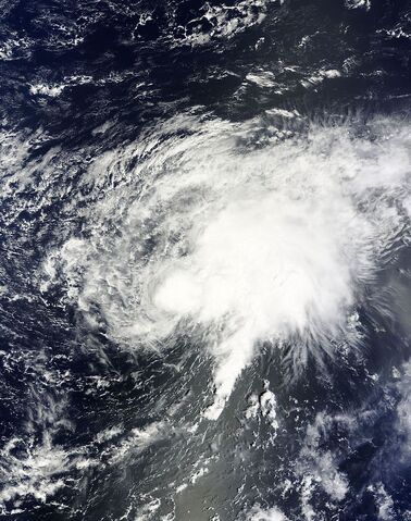 File:Lisa 2016-09-21 1245Z.jpg