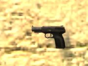 Pistol