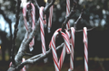 Thumbnail for version as of 14:19, December 5, 2016