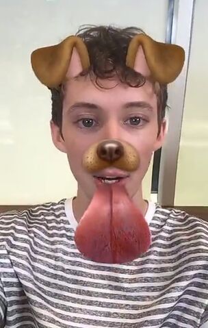 File:Puppytroye2.jpg