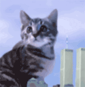 58111697.gif