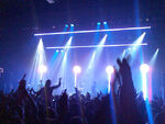 Spitfires Live
