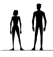 Basic body shape silhouette