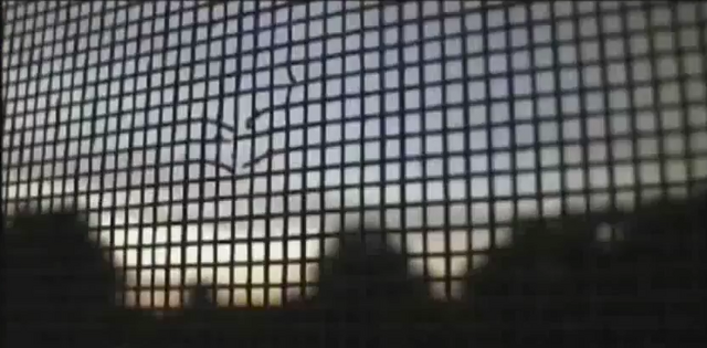 File:OP-credits019.png