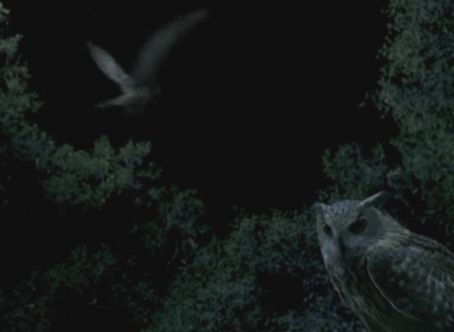 File:Sam 02.png
