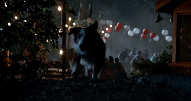 File:Sam gives Chase.png